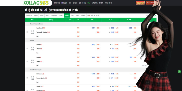 The Role of Digital Platforms in Fan Culture